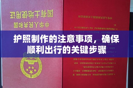 鹿草护照制作的注意事项，确保顺利出行的关键步骤