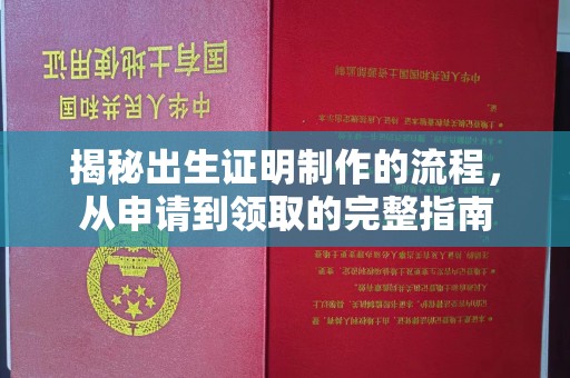 鹿草揭秘出生证明制作的流程，从申请到领取的完整指南