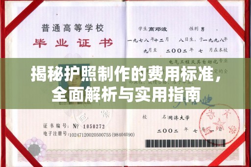 鹿草揭秘护照制作的费用标准，全面解析与实用指南