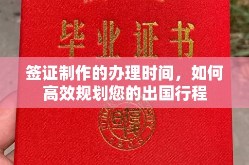 鹿草签证制作的办理时间，如何高效规划您的出国行程