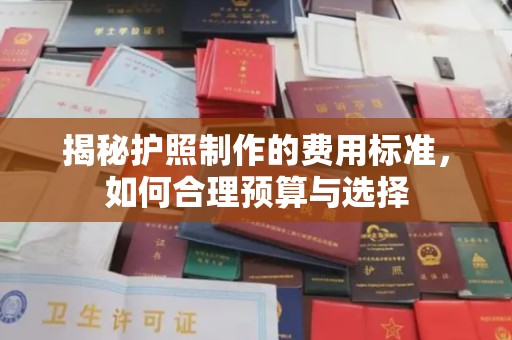 鹿草揭秘护照制作的费用标准，如何合理预算与选择