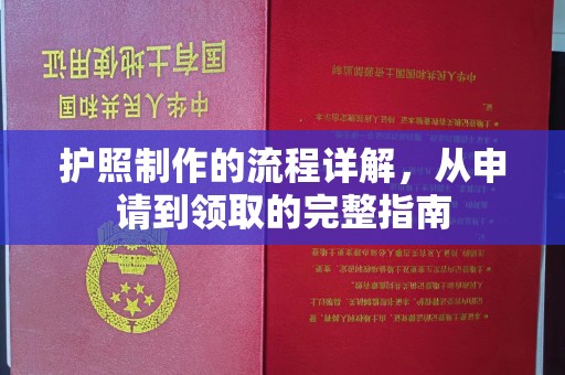 鹿草护照制作的流程详解，从申请到领取的完整指南