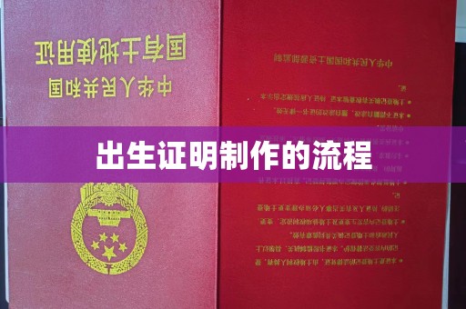 鹿草出生证明制作的流程