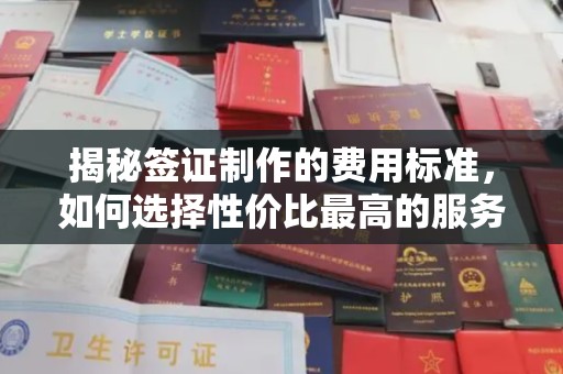 鹿草揭秘签证制作的费用标准，如何选择性价比最高的服务？