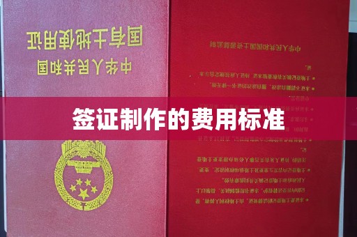 鹿草签证制作的费用标准