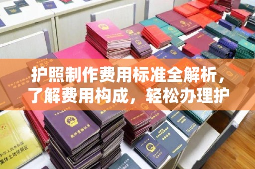 鹿草护照制作费用标准全解析，了解费用构成，轻松办理护照
